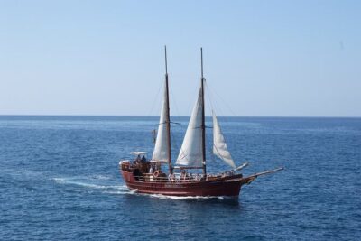 Sealife Dolphin & Whale Watching aboard Portuguese schooner - Los Cristianos Departure: The 10:00am Start Matters