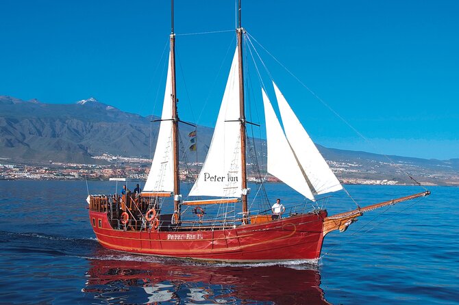 Sealife Dolphin & Whale Watching aboard Portuguese schooner - What’s Included (and How the Boat’s Features Affect Your Day)