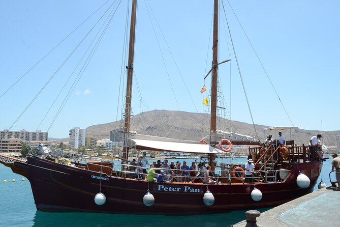 Sealife Dolphin & Whale Watching aboard Portuguese schooner - Price and Value: Is $57.96 Worth It?