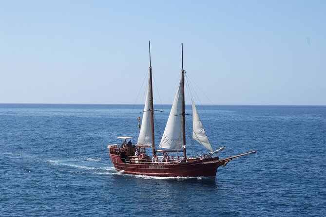 Sealife Dolphin & Whale Watching aboard Portuguese schooner - Los Cristianos Departure: The 10:00am Start Matters