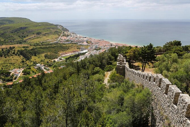 Sesimbra: Arrábida Dolphin and Whale Watching tour with biologist - Key highlights worth planning around