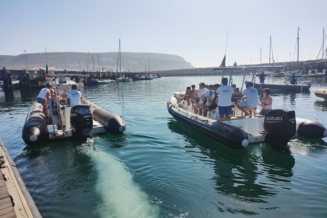 Sesimbra: Arrábida Dolphin and Whale Watching tour with biologist - What the guides actually do with your time
