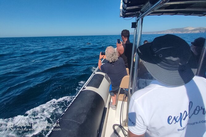 Sesimbra: Arrábida Dolphin and Whale Watching tour with biologist - Should you book Bolhas Tours in Sesimbra?