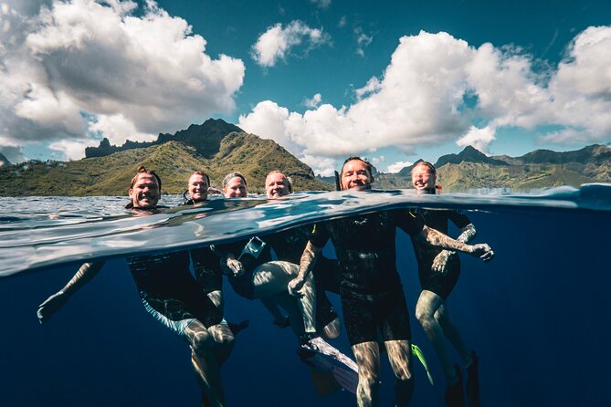 Shared Whale Expedition - Moorea Whale Season Reality: Weather Controls Everything