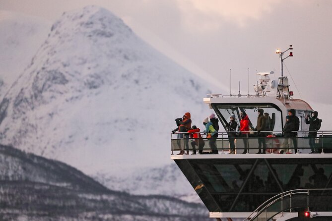 Silent Whale Watching by Hybrid-Electric Boat from Tromsø - Skjervøy and the first search: humpbacks and orcas in the herring zone
