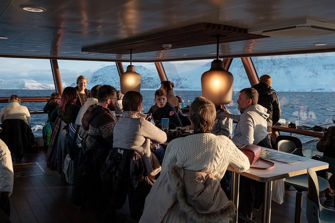 Silent Whale Watching by Hybrid-Electric Boat from Tromsø - Kvaenangen Municipality: your main whale-watching window (1–2 hours)