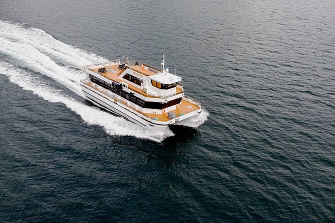 Silent Whale Watching on Hybrid-Electric Boat with Scenic Bustrip - Your 9-hour plan, stop by stop