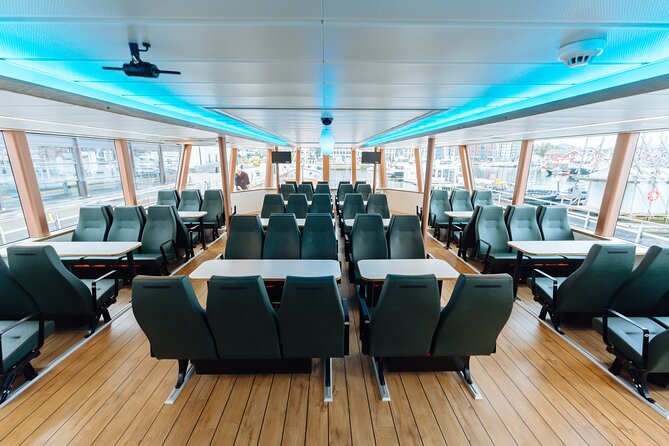 Silent Whale Watching on Hybrid-Electric Boat with Scenic Bustrip - Who you’re likely to see (and how to handle the no-whale days)