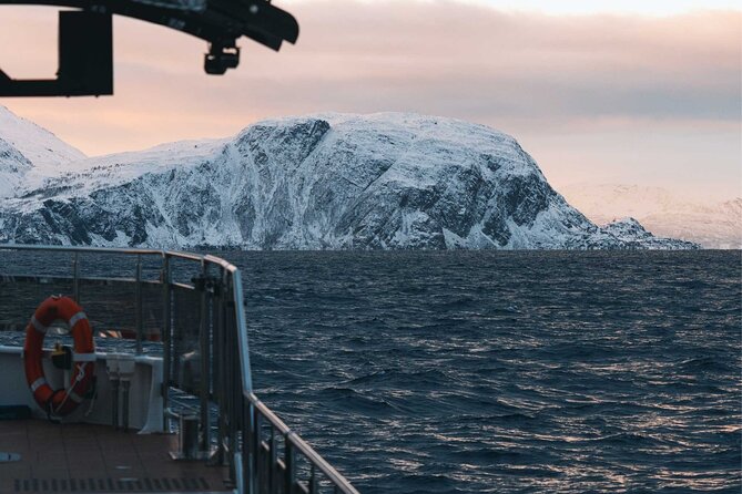 Silent Whale Watching on Hybrid-Electric Boat with Scenic Bustrip - The price: is $192.69 worth it?
