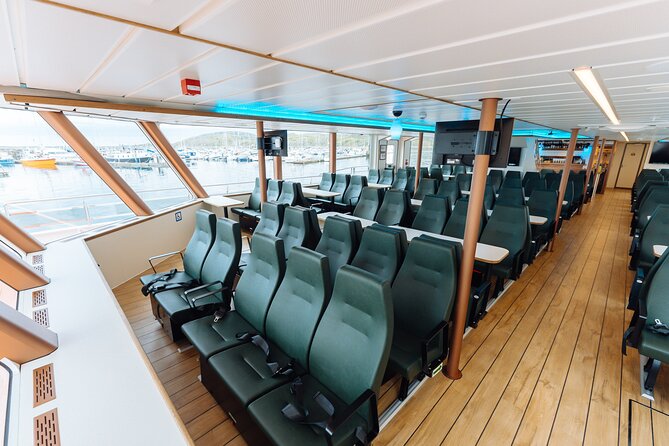 Silent Whale Watching on Hybrid-Electric Boat with Scenic Bustrip - Logistics that help your day feel easy