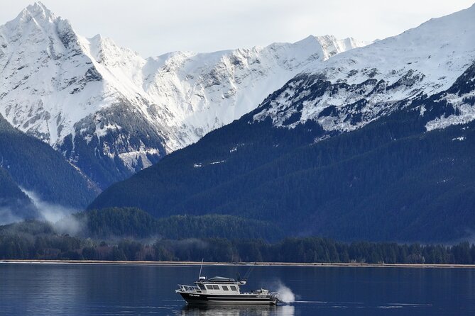 Sitka Premier Whale Watching and Wildlife Tour - How the Captain Works: Close Encounters Depend on the Day
