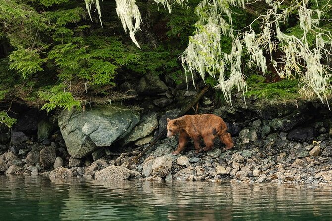 Sitka Whale Watch and Sea Otter Quest - Crescent Harbor Departure: Your Head-Start on Sitka Wildlife Time
