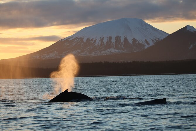 Sitka Whale Watch and Sea Otter Quest - The Land Stops: Dormant Volcano Views and the Sitka Visitor Center