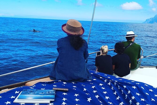 Small Group Boat Whale and Dolphin Watching Tour - Finding whales and dolphins around La Gomera (without disrespecting them)