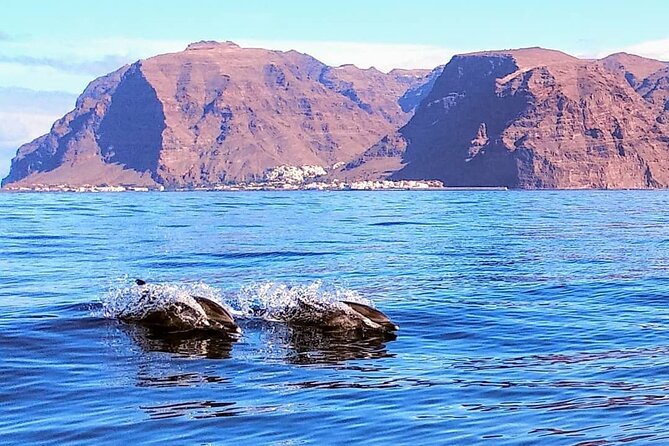 Small Group Boat Whale and Dolphin Watching Tour - The food and the calm vibe: picnic, snack, and small comforts