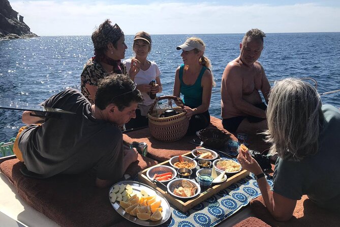 Small Group Boat Whale and Dolphin Watching Tour - Timing, group size, and what that means for your day