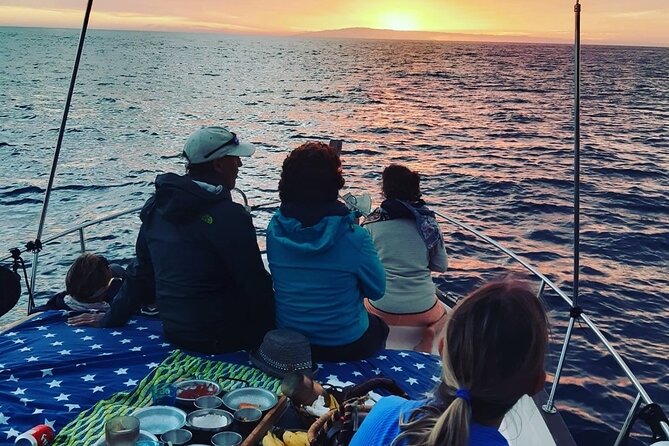 Small Group Boat Whale and Dolphin Watching Tour - Price and value: what you’re really paying for ($58.05)