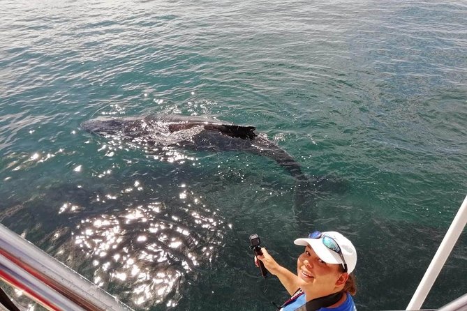 Small-Group Half-Day Whale-Watching Tour in Puerto Vallarta - The Tour Flow: Check-In, Then Out on the Bay Fast