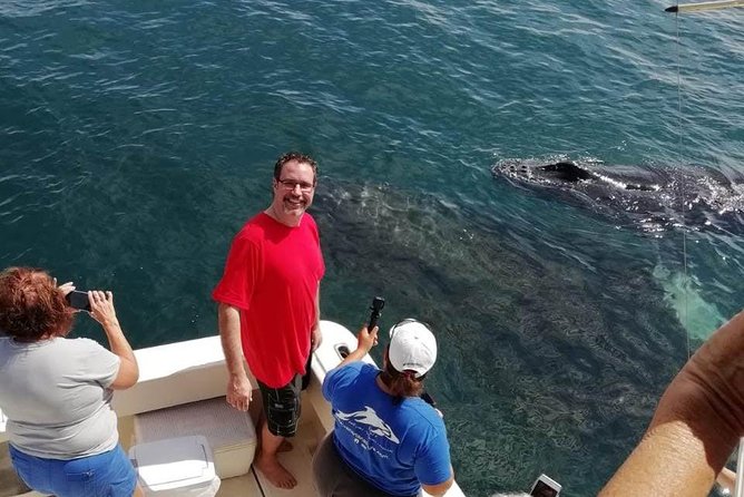 Small-Group Half-Day Whale-Watching Tour in Puerto Vallarta - Captain Skill and Responsible Viewing in a Busy Bay