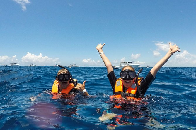 Small Group Whale Shark Encounter - 10 years in business - In-water guidance: The guide is with you, not hovering