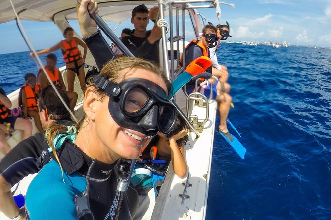 Small Group Whale Shark Encounter - 10 years in business - Photos and videos included: Proof you didn’t dream it