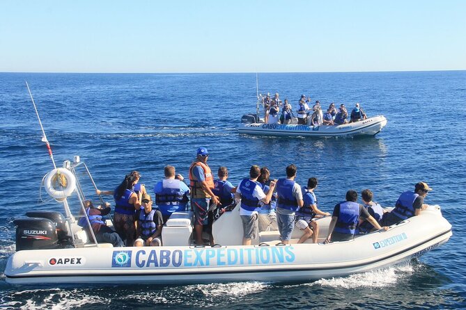 Small-Group Whale Watching Zodiac Boat Cruise in Cabo San Lucas - Notable guides and captains (names that came up)