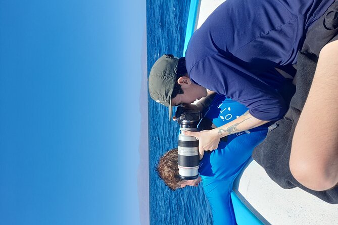 Snorkel with whale sharks includes equipment & transportation - Cabo San Lucas Beach and the Arch stop: scenery with a purpose