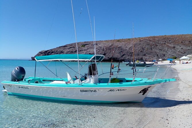Snorkel with whale sharks includes equipment & transportation - Boat-day reality: jumps, swim tempo, and crew attitude matters