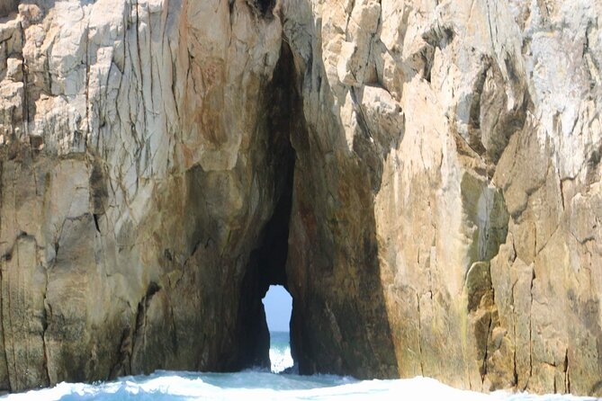 Snorkeling and whale watching Tour in Cabo - Neptune’s Finger coral reef: colorful fish around the boat