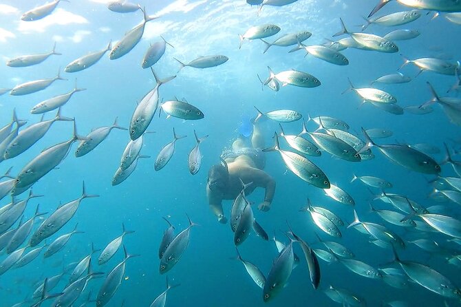 Snorkeling and whale watching Tour in Cabo - El Arco photo stop: Cabo’s iconic arch, time to get everyone in frame