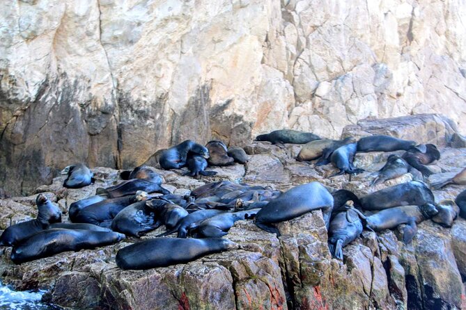 Snorkeling and whale watching Tour in Cabo - Cruising the Cabo bay: seeing resorts and the coastline vibe
