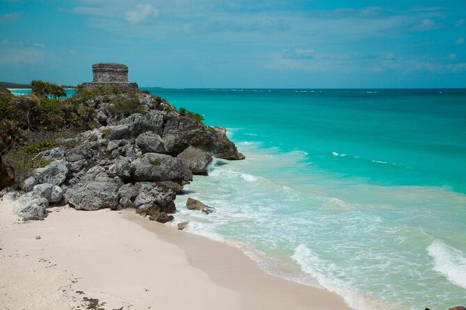 Snorkeling with Whale Sharks - Isla Mujeres - The practical appeal