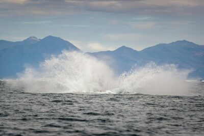 Speedboat Whale Watching Small-Group Tour in Reykjavik - Included waterproof gear: you’ll thank yourself once the spray hits