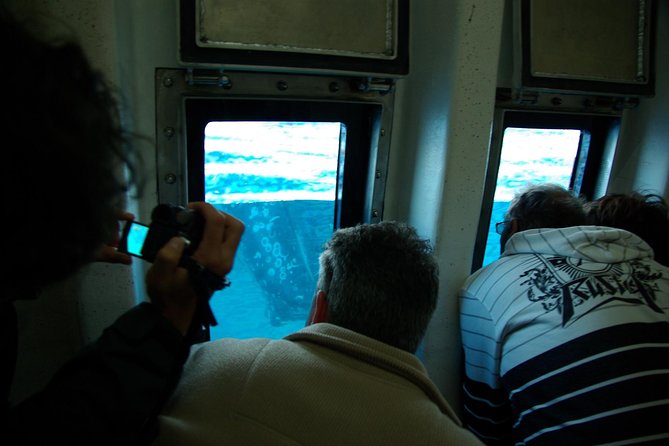 Spirit of Hervey Bay Whale Watching Cruise - Who this cruise suits best (and who might want to adjust expectations)