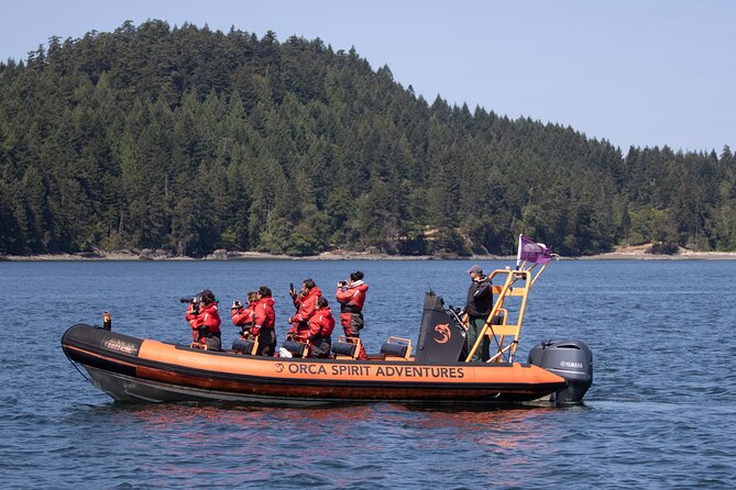 Summer Whale Watching Tour in a Zodiac Boat in Victoria - The whale hunt: how Zodiac searching and the free rebook work