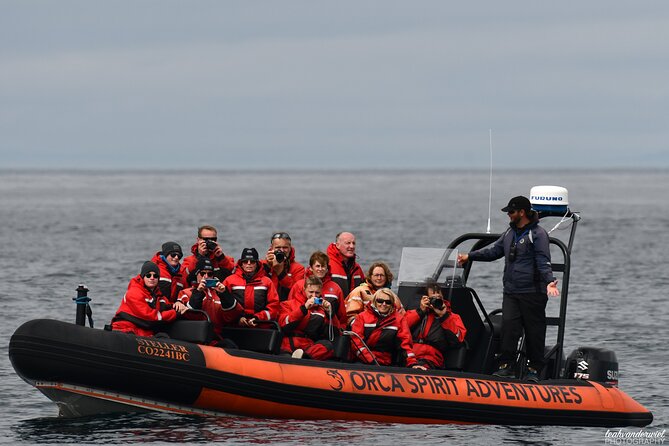 Summer Whale Watching Tour in a Zodiac Boat in Victoria - Dress for spray: what to wear on a survival suit day