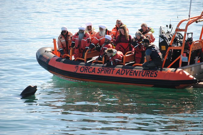 Summer Whale Watching Tour in a Zodiac Boat in Victoria - Value check: is $144.30 worth it for a Victoria whale watch?