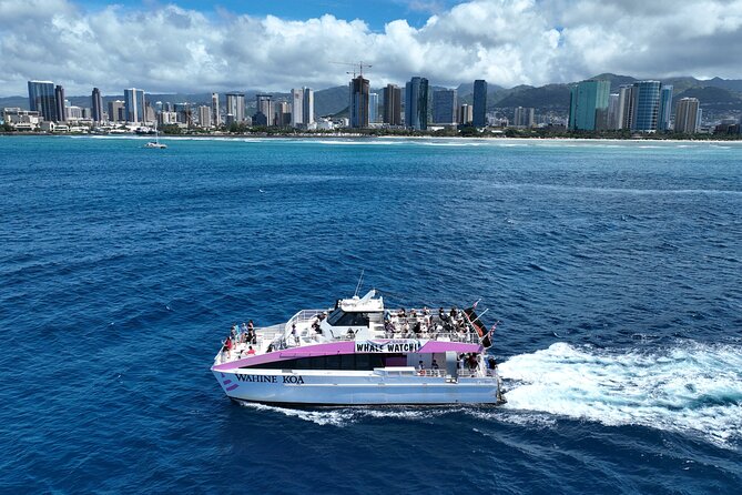 Sunset Cruise & Whale Watching from Oahu - Boat ride reality check: wind, waves, and comfort tips that actually help