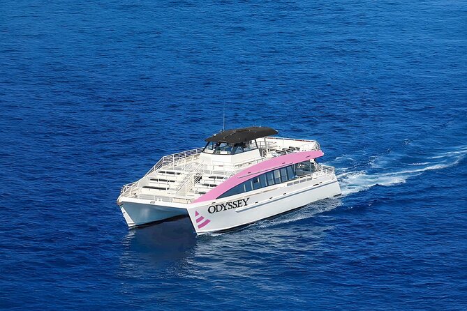 Sunset Cruise & Whale Watching from Oahu - Should you book Sunset Cruise & Whale Watching from Oahu?