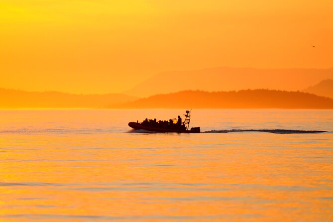 Sunset Whale and Wildlife Adventure in Cowichan Bay - Price and logistics: what $159.09 really covers