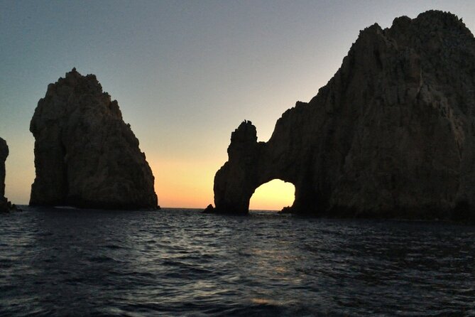 Sunset Whale Cruise in Cabo San Lucas - The Sea Lion Colony Peek: More Than Just Whales