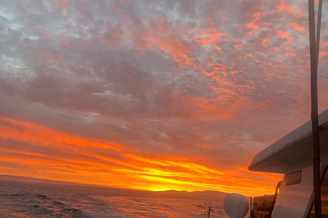 Sunset Whale Watch Tour in Monterey - Key things you’ll notice right away