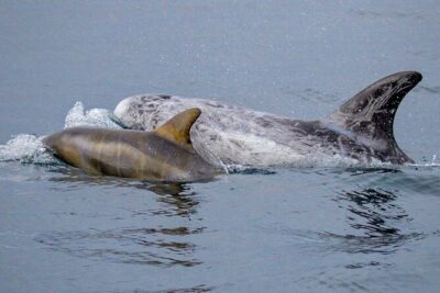 Sunset Whale Watch Tour in Monterey - Getting there: parking at 101 Washington St, then walking to 66 Fishermans Wharf
