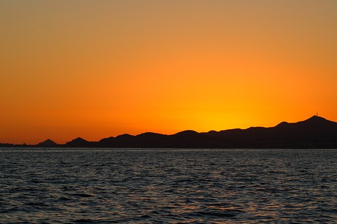 Sunset Whale Watching in San Jose del Cabo - Should you book this sunset whale watch with Salty Cabo?