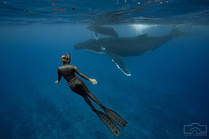 Swim in Moorea with Humpback Whales and More - What makes the guide team matter (Robert and Mareva)