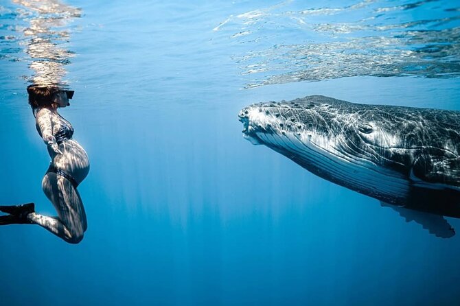 Swim in Moorea with Humpback Whales and More - Safety first: the biologist rule before you enter the water