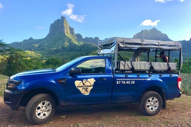 Swim with humpback whales - Price and value: what $264.13 really buys you in Moorea