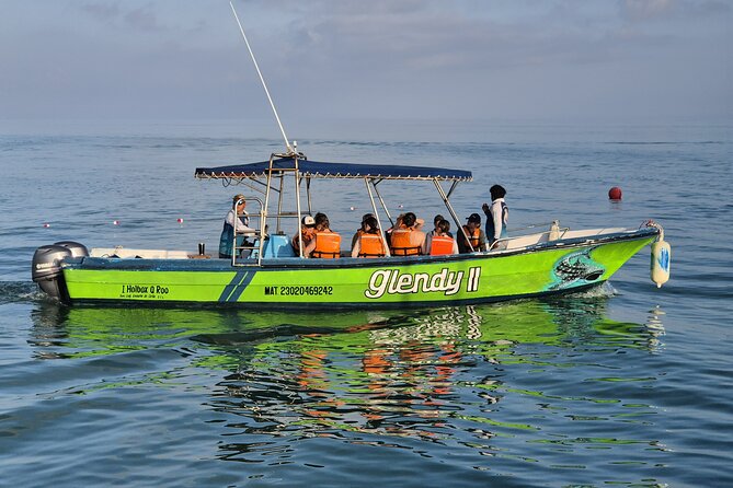 Swim with the Whale Shark on Holbox Island - Whale Sharks on Holbox: why this swim format works
