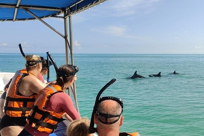 Swim with the Whale Shark on Holbox Island - Isla Blanca whale shark swimming: the respectful rules you feel in the water
