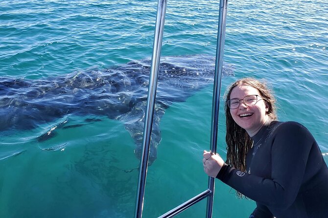 Swim with Whale Sharks #1 MUST DO IN LA PAZ - Meeting The Hook: where to start in La Paz